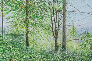 Celso Martinez Naves, Sternwald 9, 2020, OelLw, 40 x 60 cm